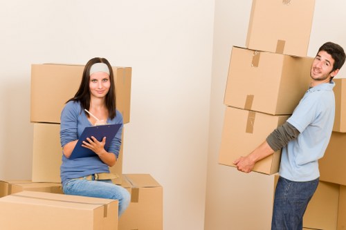 Professional hire man with van support for moving day